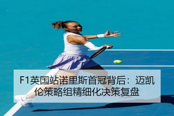 ying-guo-zhan-nuo-li-si-shou-guan-bei-hou-mai-kai-lun-ce-lve-zu-jing-xi-hua-jue-ce-fu-pan-2-205.jpg